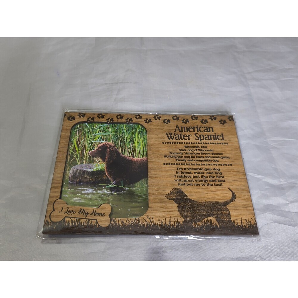 American Water Spaniel Engraved Wood Picture Frame Magnet